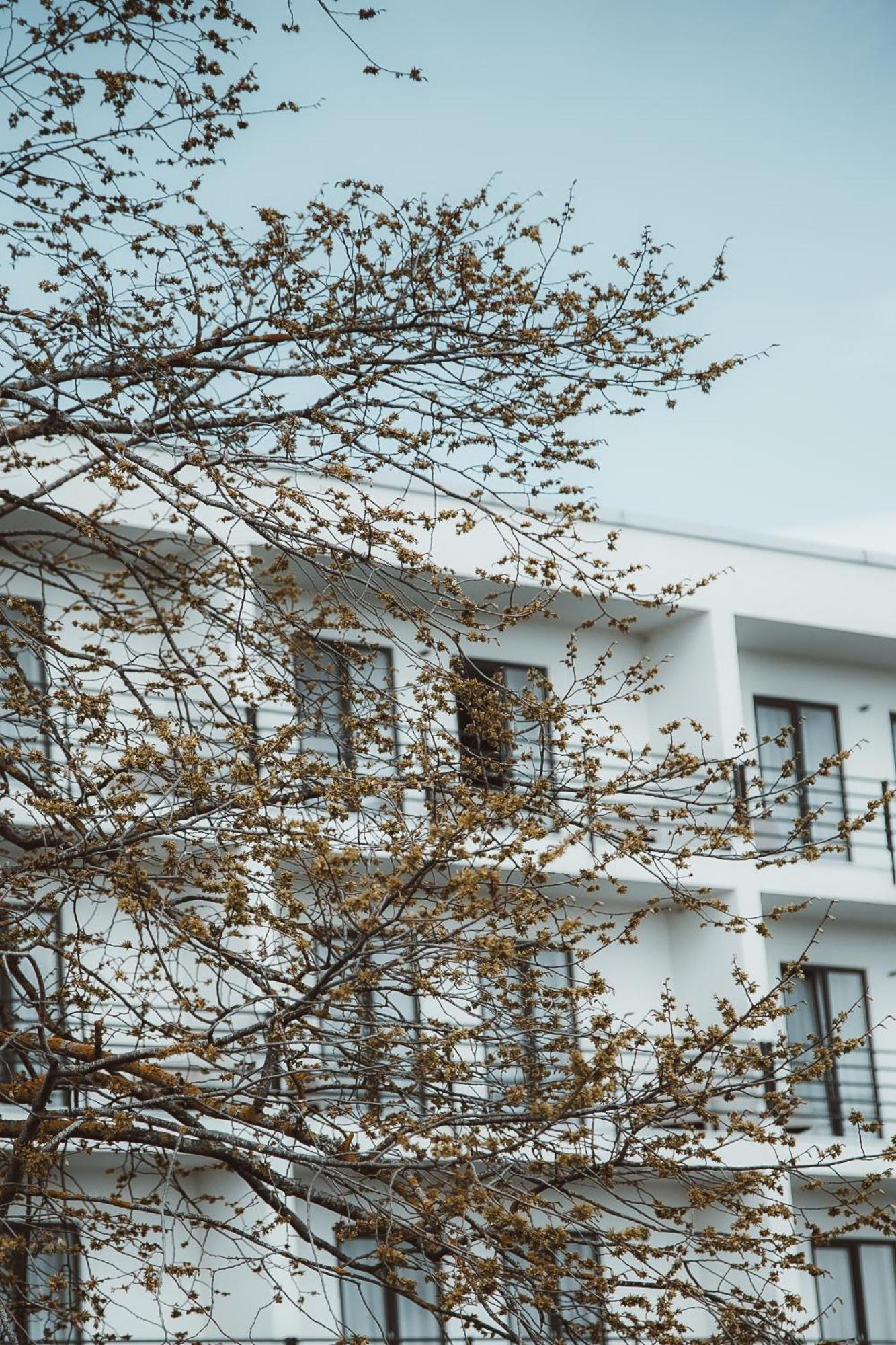 Oe Seaside Suites & Spa กูรัซซาเร ภายนอก รูปภาพ